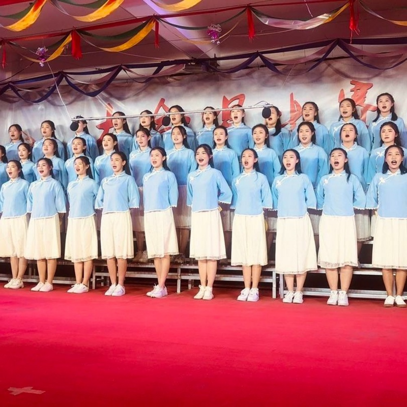 Nowoczesny chiński styl ubrania pani niebieskie kobiety bluzki Retro strój Tang tradycyjny Top zestaw spódnica dwuczęściowy tradycyjny strój chiński