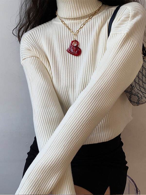 Women Turtleneck Sweaters Autumn Winter Vintage Slim Pullover Women Basic Tops Casual Soft Knit Sweater Soft Warm Jumper Clothes