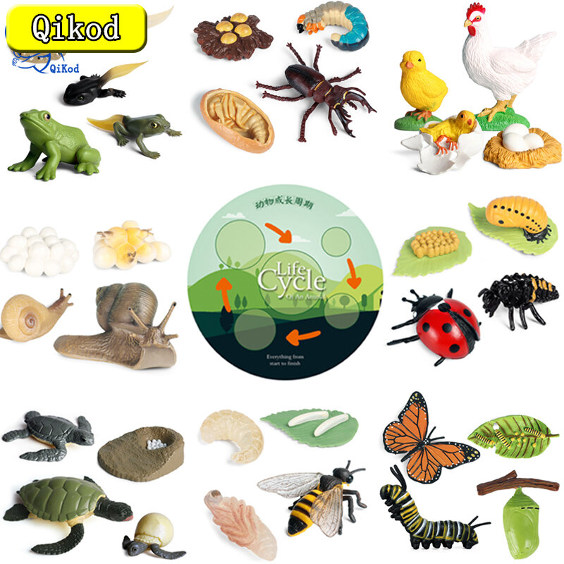 Animal Life Cycle Insect Model, Butterfly, Bee Simulation Figurine, DIY Action Figures, Kids Early Childhood Education Brinquedos, Presente, Novo