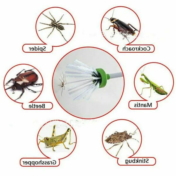 Pest และ Critter Catcher สร้างสรรค์แมลง Bug Humane Friendly ดัก UK จับแมงมุมแมลงสาบแมงป่องแมลงวันจิ้งหรีดทนทาน