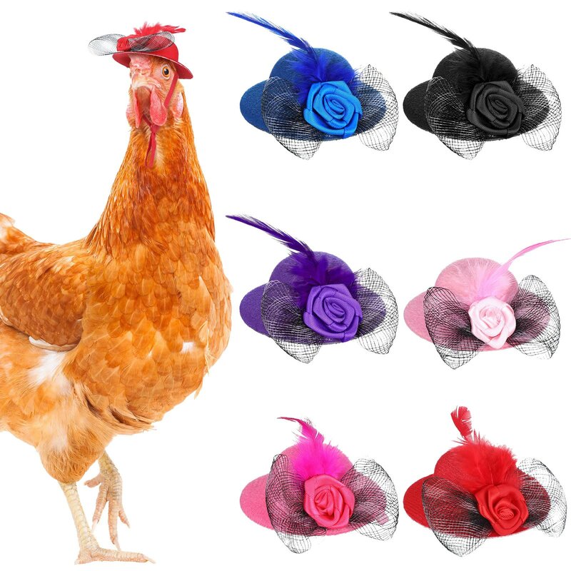 الدجاج قبعة للدجاج الحيوانات الأليفة الصغيرة مضحك الدجاج الملحقات ريشة أفضل قبعة الديك بطة الببغاء الهامستر الدواجن أنيق عرض مخصص