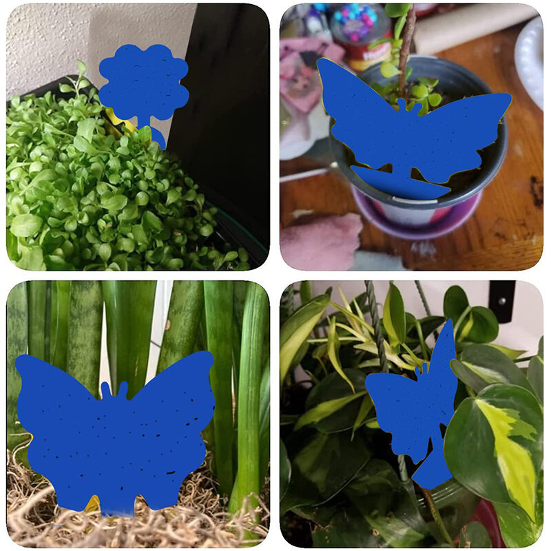 10Pcs Fly Trap Gnats Insect Sticky Traps Dual Sided Fly Catcher Plant Blue Pest Control Strong Glue For Aphids Mosquitoes