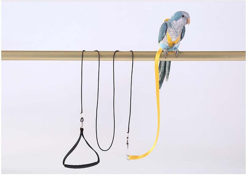 สัตว์เลี้ยง Parrot Harness Leash บินกลางแจ้งการฝึกอบรมเชือกขนาดกลาง Macaw Cockatiel Budgie สายคล้องอุปกรณ์นก