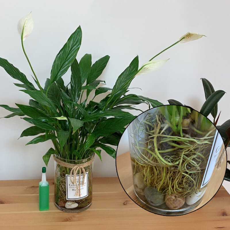 38ml Hydrokultur Flüssigkeit Dünger Bonsai Pflanze Nährstoffe Lösung Dünger Sämling Recovery Wurzel Kraft Keimung Hilfe