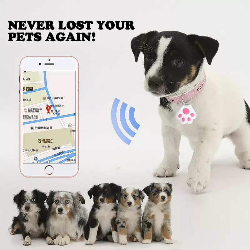 Traceur GPS intelligent étanche pour animal domestique, localisateur bluetooth pour chaton chien de compagnie accessoire pour clés de voiture