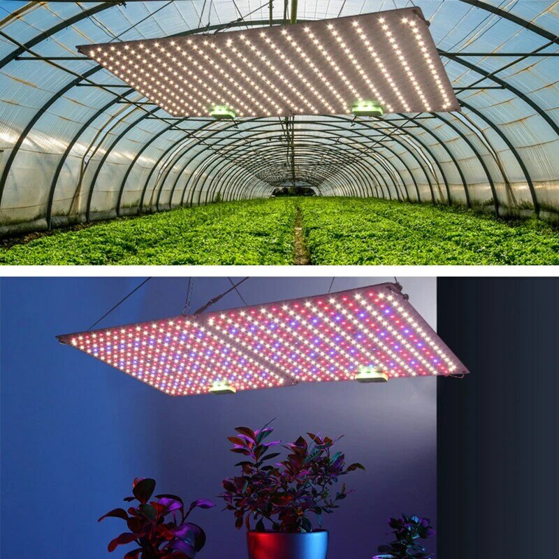 양자 LED 다이오드 전체 스펙트럼 피토 램프, 65W LED 성장 조명, 실내 식물 꽃 온실 모종 성장 빛