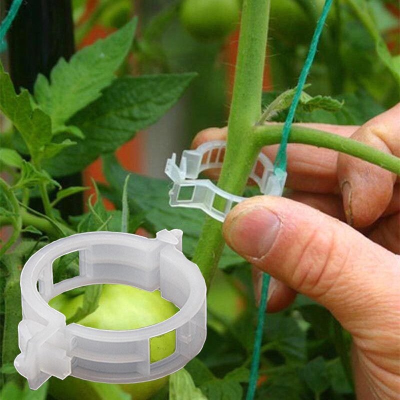 Clipes de plástico para suporte de plantas, 50/100 pçs para pendurar em tomate, treliça, conecta plantas, estufa, legumes, ornamento de jardim