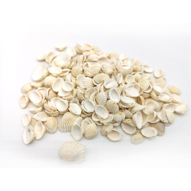 30pc Natürliche Shell Conch Anhänger Schmuck Machen Perlen DIY Handgemachte Armband Halskette Ringe Zubehör Material Großhandel