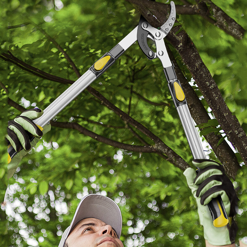 Asoyoga jardim longo podador telescópica tesouras de poda catraca árvore ramo cortador poderoso podador jardinagem ferramentas manuais professiona