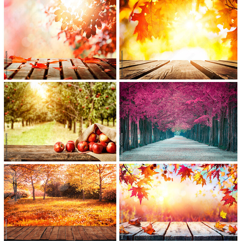 Фон для фотосъемки с природным пейзажем осенние листья лес пейзаж Путешествия Фото фоны студия реквизит 211224 QQTT-06