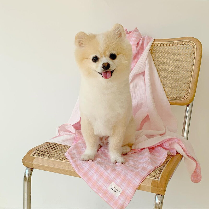 Almohadilla de algodón a cuadros para mascotas, manta de doble capa de hilo de algodón, acondicionador de aire para perros y mascotas, esterilla de Picnic, color rosa y verde, para verano, nueva