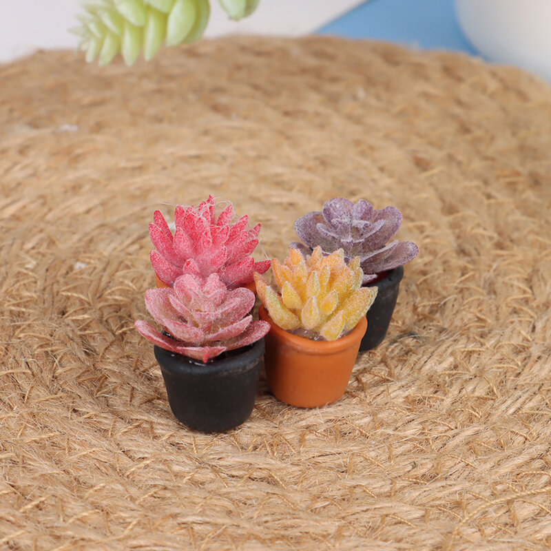 Mini plantes succulentes en pot, accessoires miniatures pour maison de poupée 1:12, 5 pièces