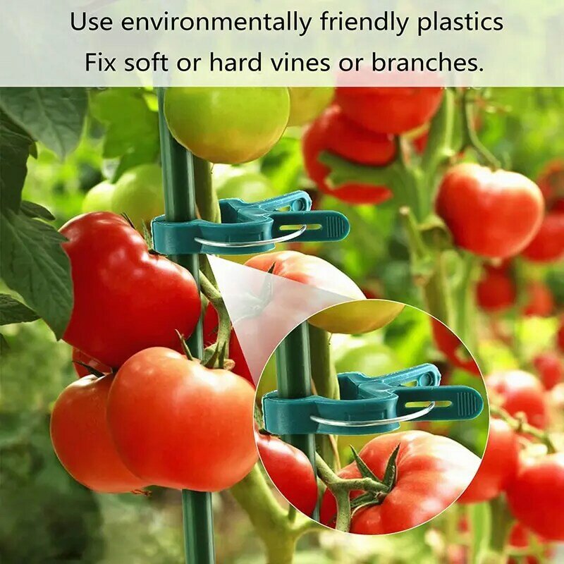 5 pezzi clip per piante gancio fiore vite clip di supporto per pomodoro supporto riutilizzabile forniture per giardinaggio per pomodoro vegetale