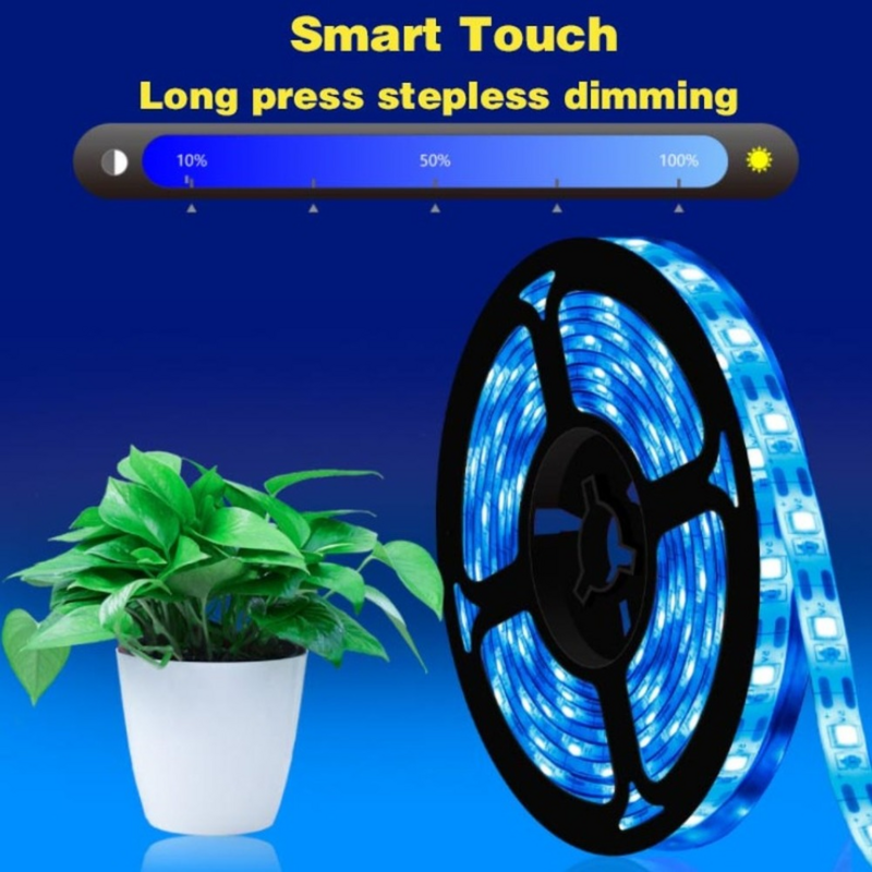 0.5m/1m/2m/3m-LED 식물 성장 온실 수경 씨앗 꽃 성장 램프 DC5V 터치 스위치 빛에 대 한 빛 스트립 전체 스펙트럼