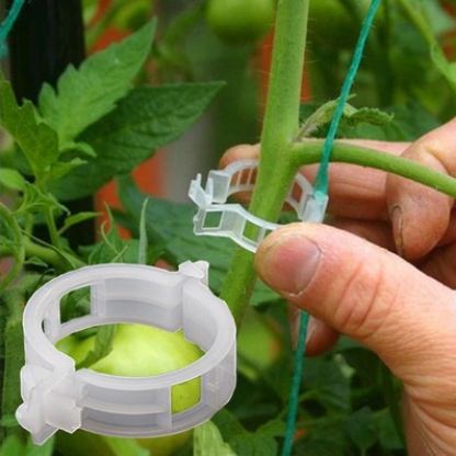 50/100 stücke Kunststoff Pflanze Clips Unterstützt Verbindet Mehrweg Schutz Pfropfen Befestigung Werkzeug Gartenarbeit Lieferungen für Gemüse Tomaten