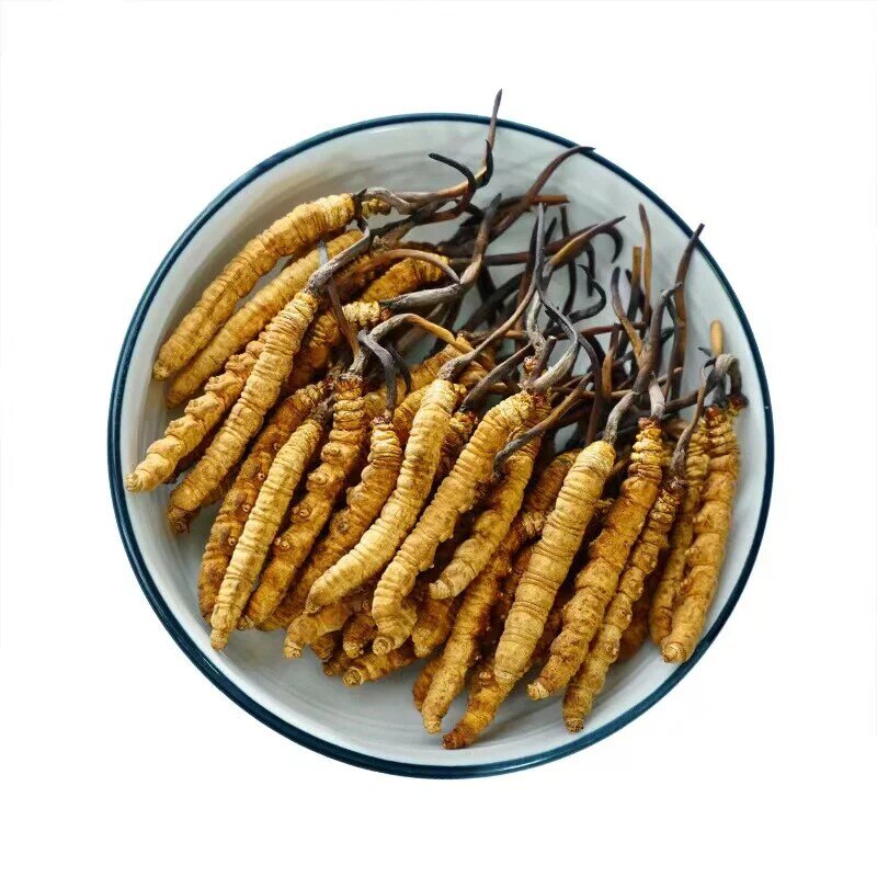 Simulazione cibo Cordyceps Sinensis dal Tibet Himalayan Cordyceps Sinensis regali di compleanno 100 pz/borsa