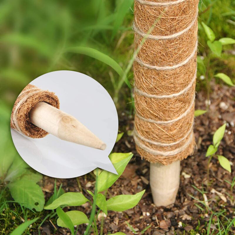 Кокосовая палочка для подъема растений, безопасная для садоводства и скалолазания, средство для подъема растений, ладонная лоза, держатель для растений, 30 см
