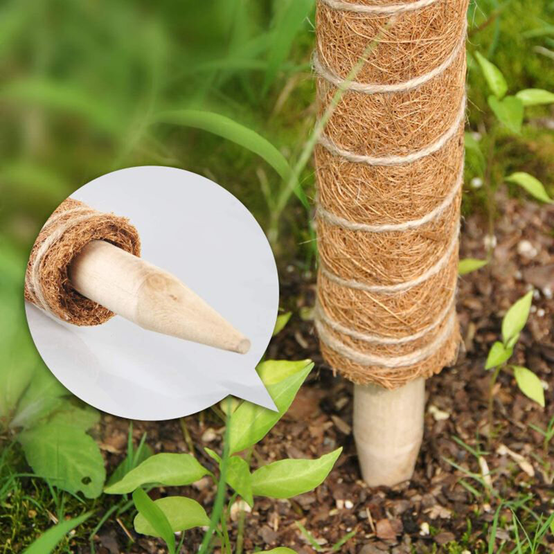 Bâton de coco pour plantes grimpantes, Totem de jardinage sûr pour plantes grimpantes, bâton de vigne de palmier Support pour plantes 30CM