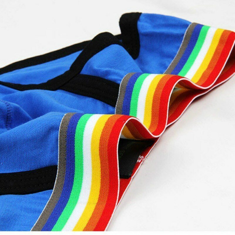 Mannen Slips Sexy Ondergoed Ademend Katoen Mannelijke Slipje Comfortabele Underpants Cueca Tanga Sneldrogend Mesh Heren Ondergoed Gay
