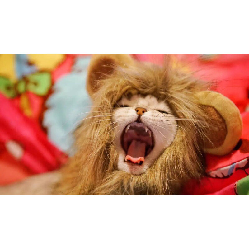Lion วิกผมเครื่องแต่งกายแมวน่ารักตลกขนาดเล็กและขนาดกลางสัตว์เลี้ยงอุปกรณ์เสริม Lion Mane สำหรับแ...