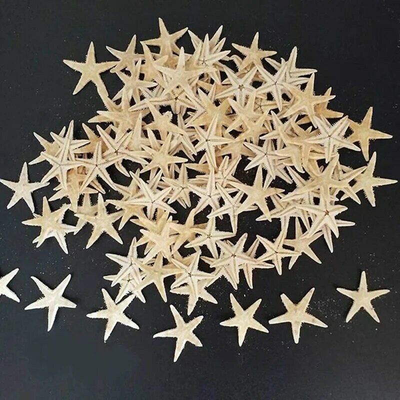 25/50 pçs natural starfish seashell praia artesanato natural mar estrelas diy praia decoração de casamento artesanato decoração para casa epóxi 2-3cm