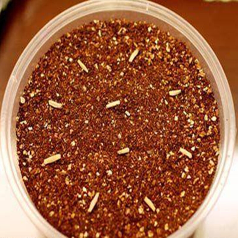 2Pcs 식물 분재 Adenium Obesum 나무 정원 홈 가구 사막 장미 꽃 나무 욕실 캐비닛 V6H-P