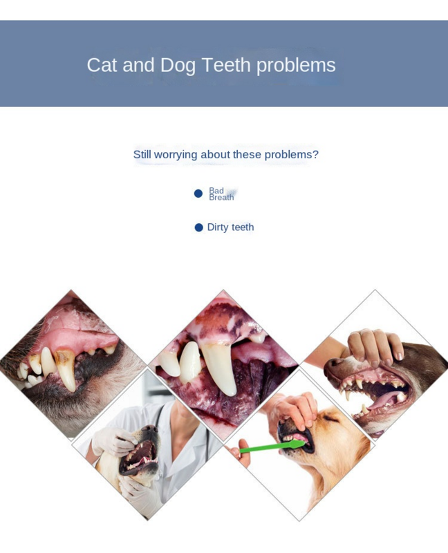 Pasta de dientes para perros y gatos, Limpieza de dientes de belleza para utensilio, seguridad, cuidado de los dientes, multisabor