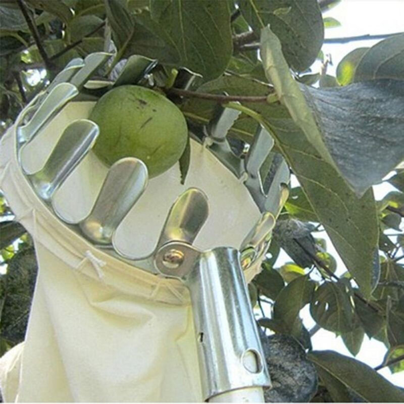 Metal picker de frutas cabeça pomar jardinagem pêssego dispositivo apanhador pêra coleta apanhador handheld ferramenta mão jardim
