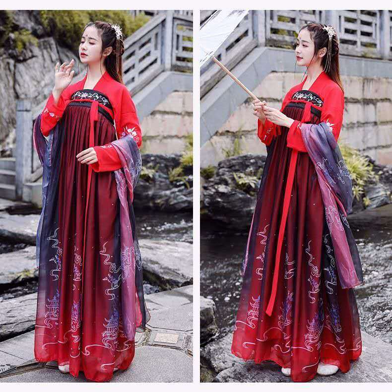 Hanfu Female Fairy Elegant Ancient Students Improve Chinese Style Elements Martial Arts Style Costume Stage Performance Costumes
