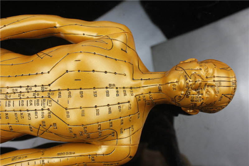 الطبية HD واضح الذكور بالكهرباء النحاس النقي الجسم البشري ميريديان الوخز بالإبر نقاط نموذج الثابت النقش الخط نقاط الوخز تمثال