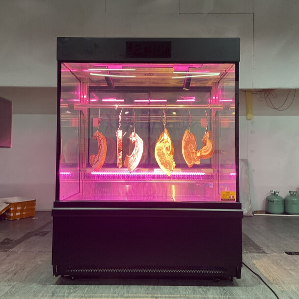 Réfrigérateur pour vitrine de viande commerciale, armoire suspendue pour supermarché, pour bœuf et poisson