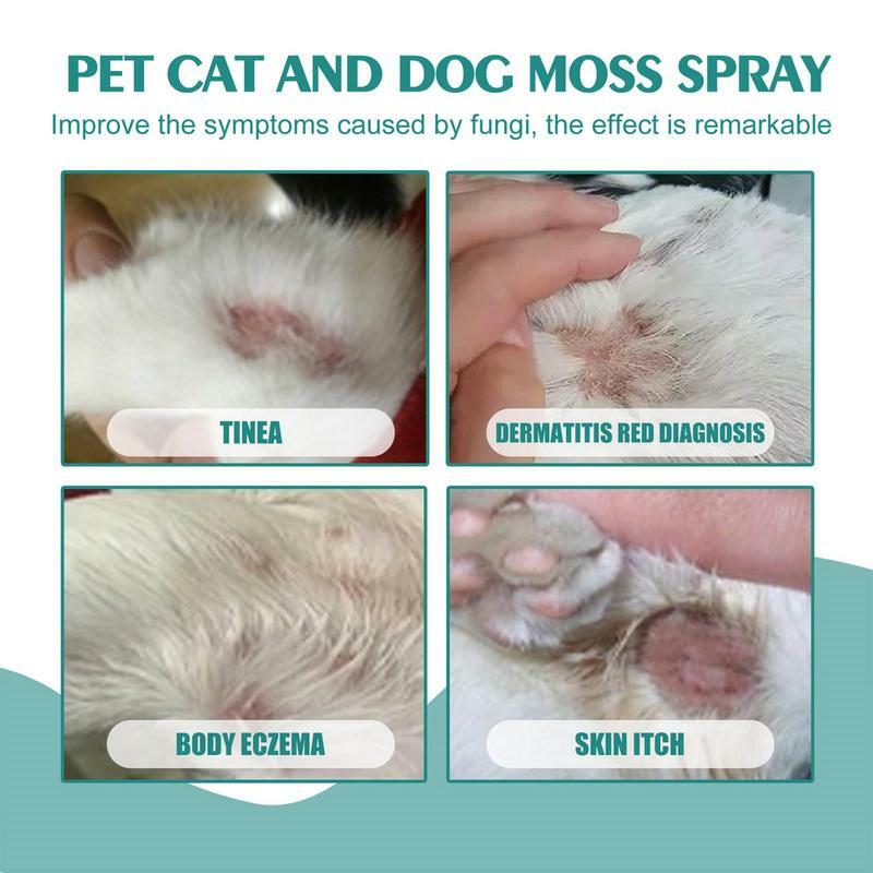 Spray per muschio per animali domestici da 30ml Spray Anti-prurito per cani e gatti Spray per la cura della pelle dell'animale domestico fornisce sollievo istantaneo forniture per la cura della pulizia degli animali domestici