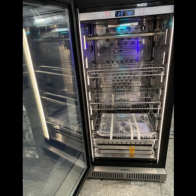 2021 Edelstahl Kabinett Dry Alter Kühlschrank Für Verkauf