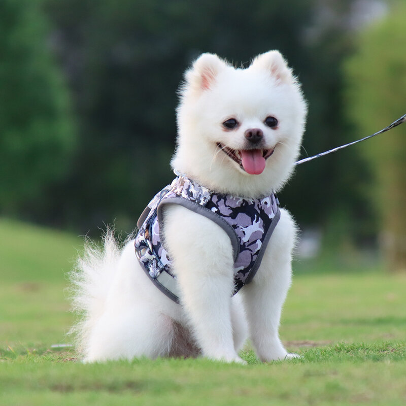 Harness En Leash Set Voor Kleine Middelgrote Hond Kat Borstband Reflecterende Ademend Huisdieren Printing Puppy Touw Accessoires Producten