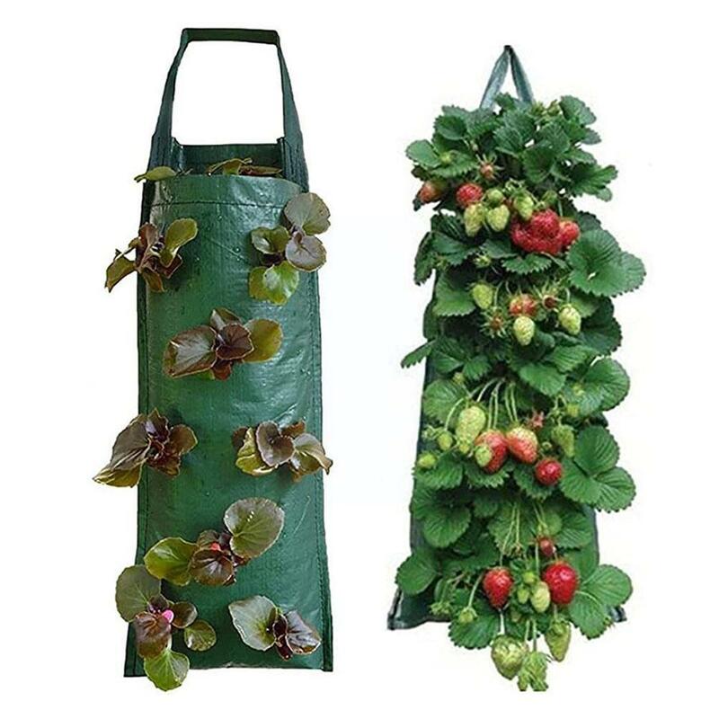 PE Plant Pot Plantador Jardim Plant Grow Bag Strawberry Planting Potes Fruta Vegetal Bolsa Invernadero Para Casa Jardinagem Z6Z7