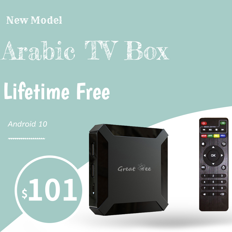 Reproductor multimedia 4K X96, dispositivo de TV árabe Super Great Bee para TV IP, Android 10 inteligente, novedad de 2022