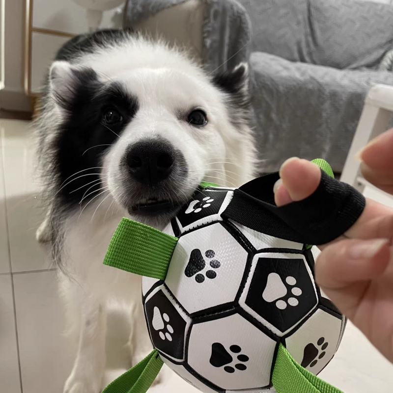 Interactive ฟุตบอลลูกฟุตบอลแท็บพองยางกัดสำหรับเด็กกลางแจ้ง Border Collie ลูก Freeshipping Pet Supplies