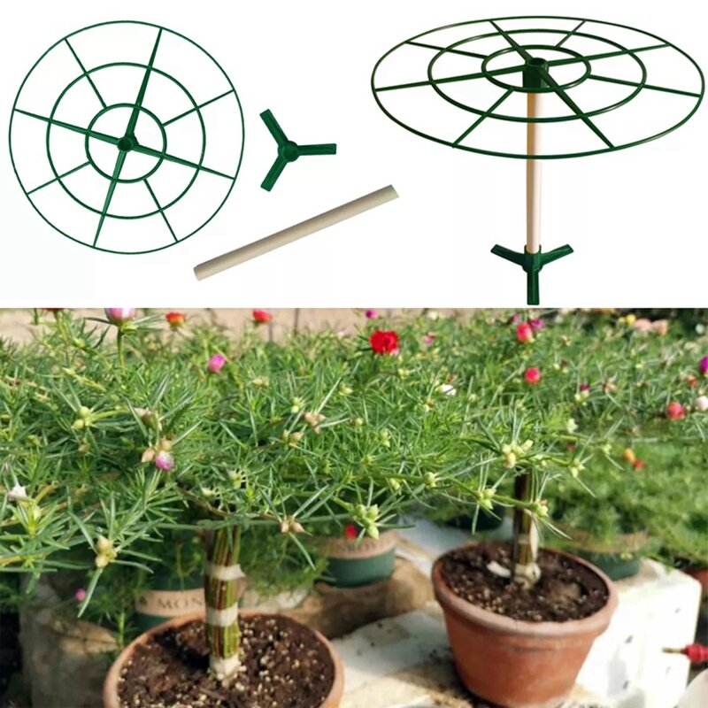 新しい丸い植物サポートフレーム,野菜のイチゴスタンド,創造的な家庭用ガーデニングツールの植物の花,5個