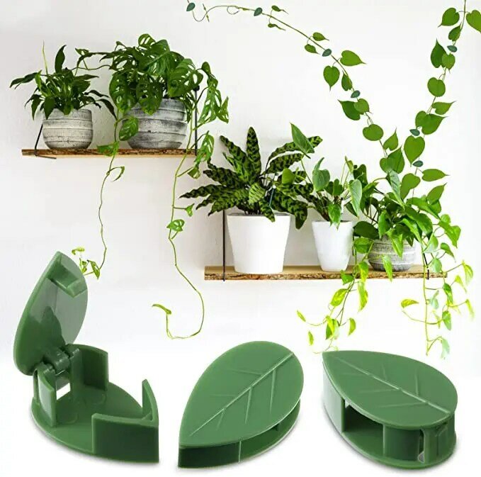 60 Pieces Plant Climbing Clip Vines Rattan Wall Fastener Fixing Indoor Outdoor Tied Fixer Holder Bracket Punch Free