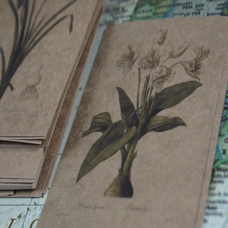 4 paczki kartka z życzeniami rose lily papier do pisania błogosławieństwo roślin kwiat papier pakowy retro szkolne materiały papiernicze materiały biurowe 10x14cm