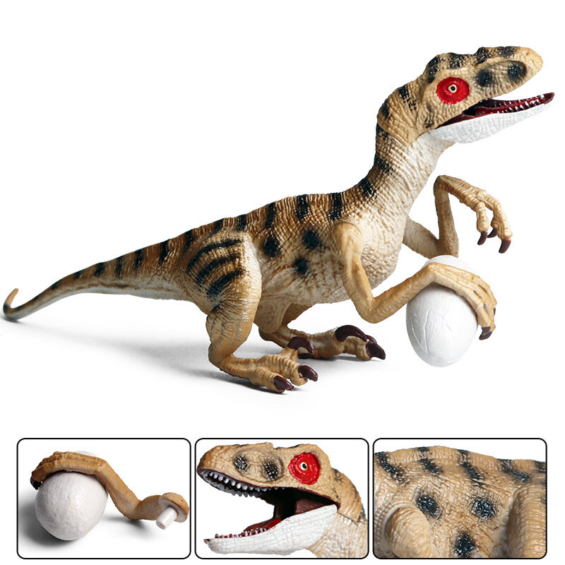 새로운 액션 장난감 그림 야생 동물 공룡 인형 Velociraptor Carnotaurus 시뮬레이션 PVC 솔리드 모델 아이 교육 완구
