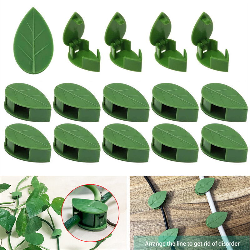Gancho Invisible autoadhesivo para plantas trepadoras, fijación de alambre para pared de jardín, 10 piezas