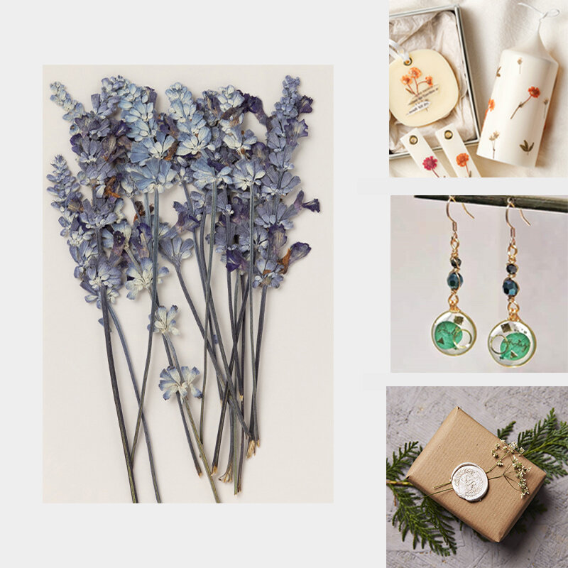 Plantas de flores secas naturales, 15 unids/bolsa para fabricación de velas DIY, sello de cera de sellado, fabricación de resina epoxi, accesorios de joyería