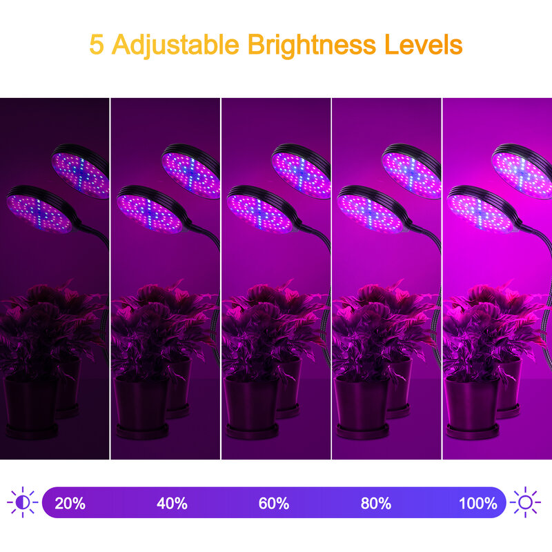 LED ضوء نمو النبات داخلي كامل الطيف USB 5 فولت مع الموقت الدفيئة زراعة ضوء عكس الضوء توقيت 5 مستويات