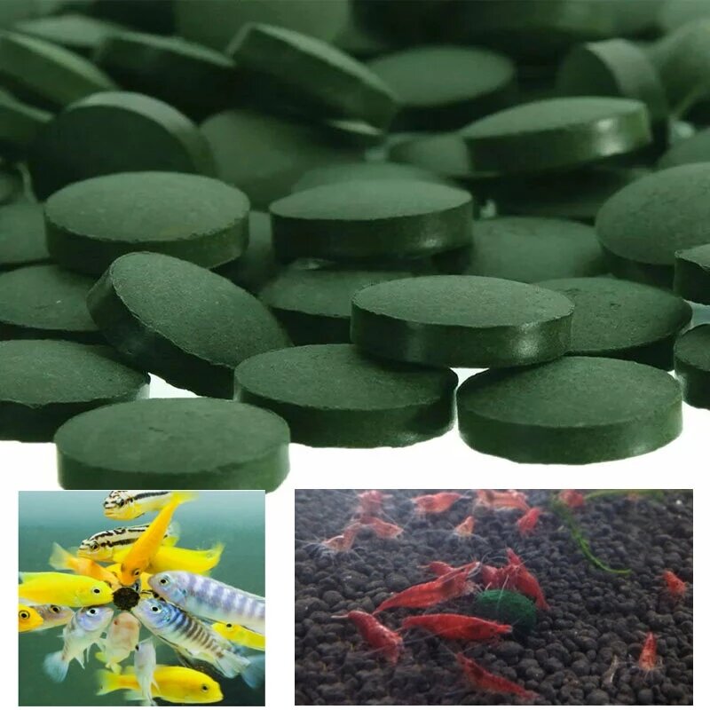 Tabletas de espirulina para comida de mascotas, pastillas de espirulina para comida de peces y camarones rojos, 100 unidades