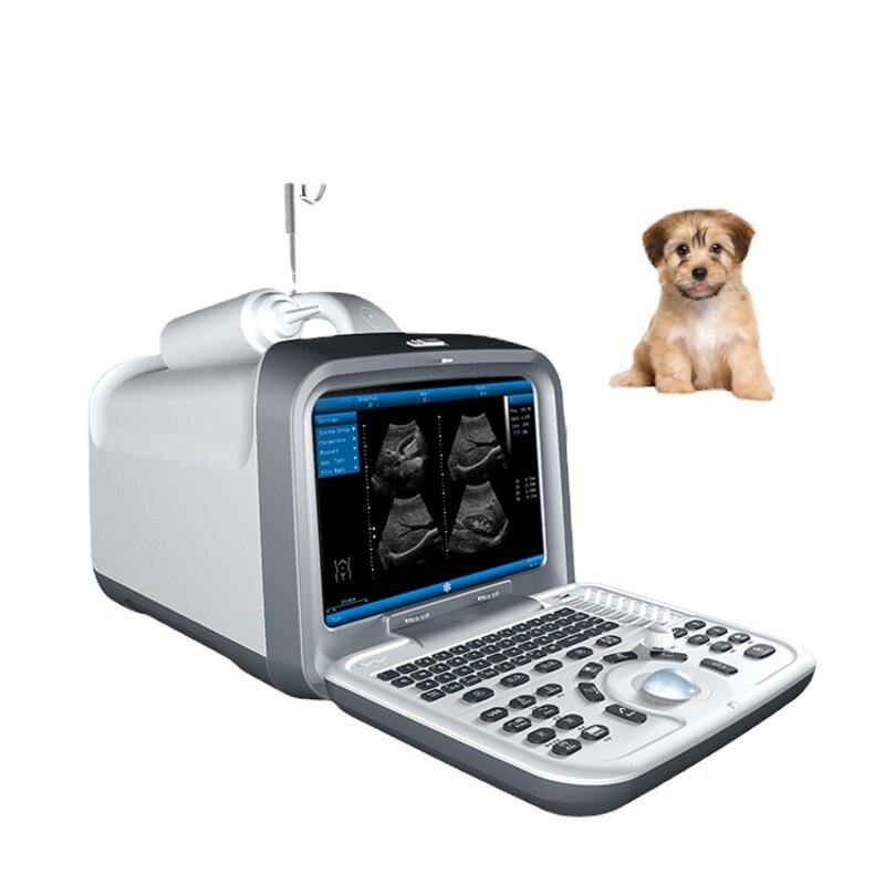Novo 2021 doppler-ultrasonido veterinário para animais, portátil, de la mejor calidad, cor 4d