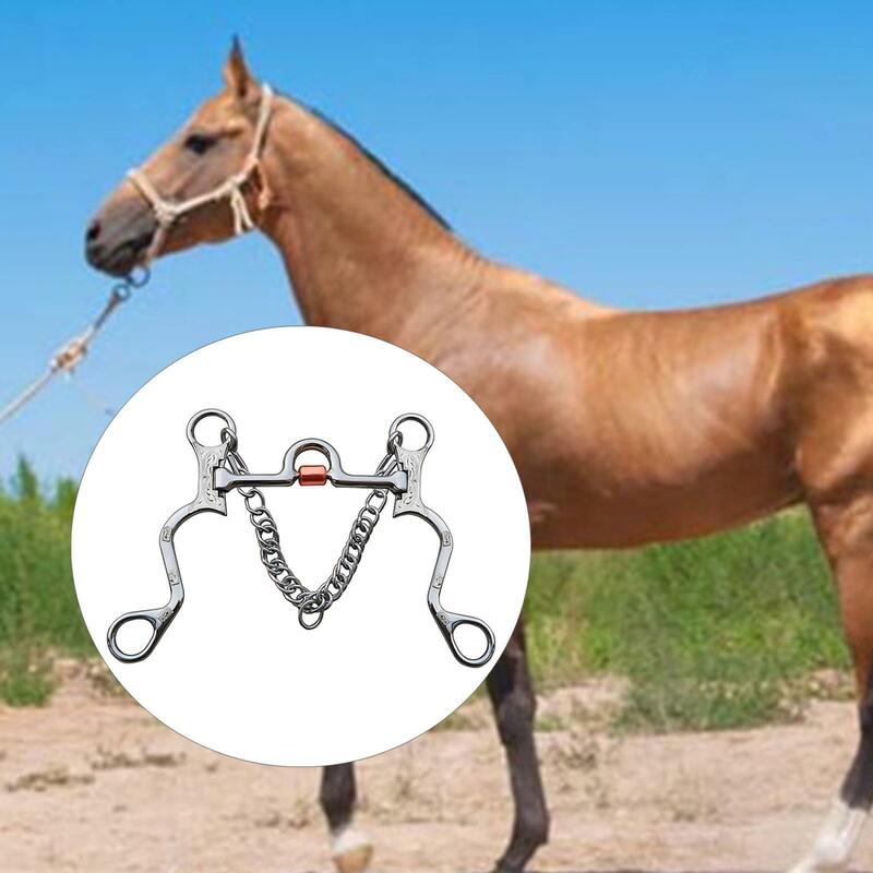 الفولاذ المقاوم للصدأ الحصان بت ، النحاس الفم لتدريب الحصان طول الفم