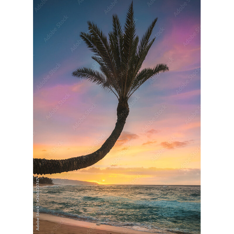 Mar tropical praia palms árvore fotografia fundo natural scenic photo backdrops photocall photo studio 211227-hhb 03