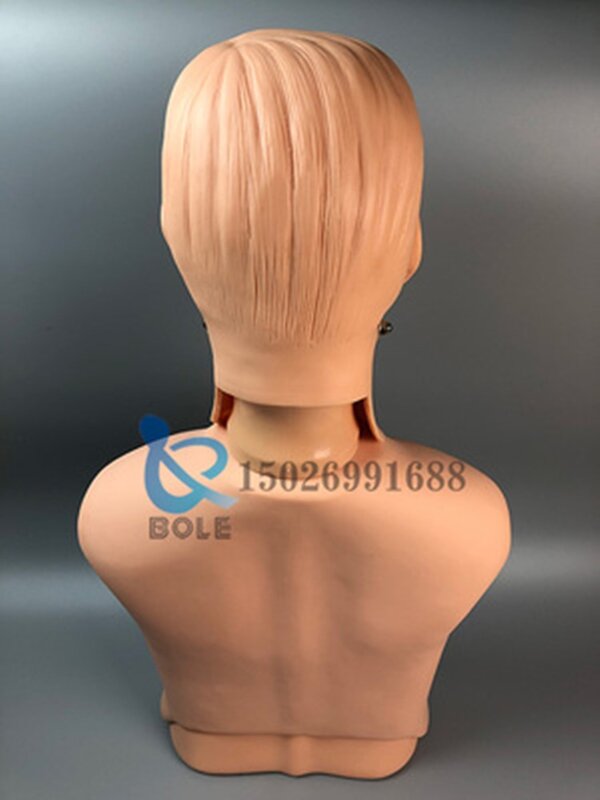 Nasogastric tube and trachea nursing model Nasogastric feeding tube Cutting suctioning training Gastric Tracheal gastric lavage