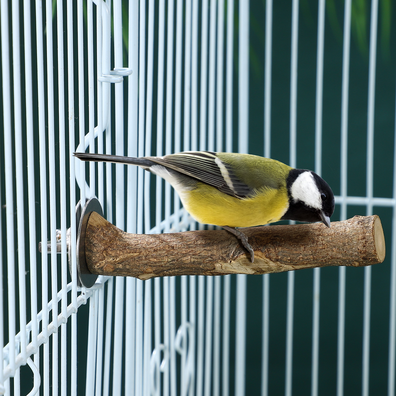 Accessori per gabbia per affilare artigli per uccelli pappagallo persico piccoli uccelli posatoi staffe pappagalli parrocchetti